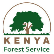 Kenya Forest Service